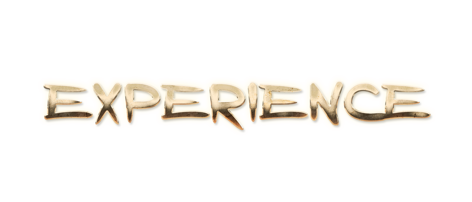WORD EXPERIENCE gold text effects art typography PNG images free